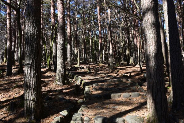 えびの高原湖めぐり(2)