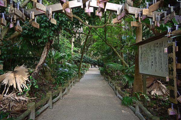 青島神社(6)