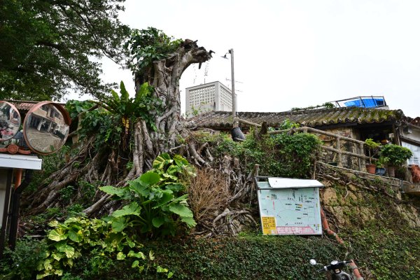 壺屋やちむん通り(4)：南窯