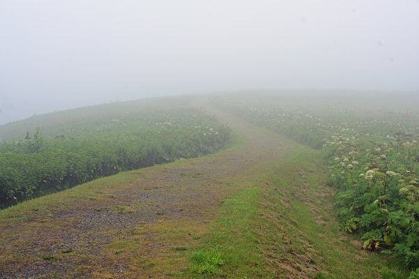 霧多布岬(2)