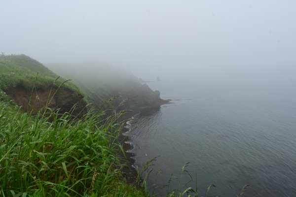 霧多布岬(4)