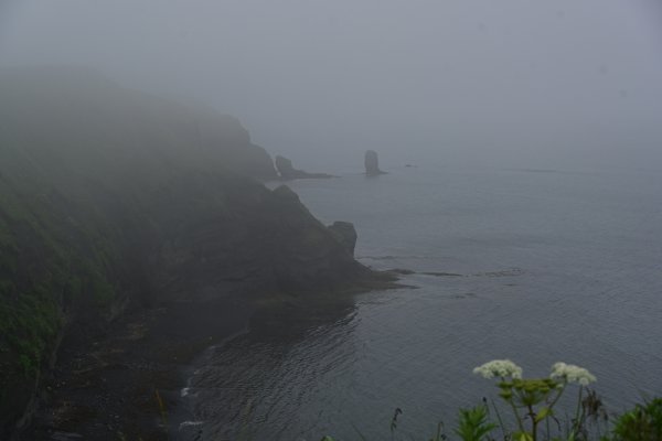 霧多布岬(6)