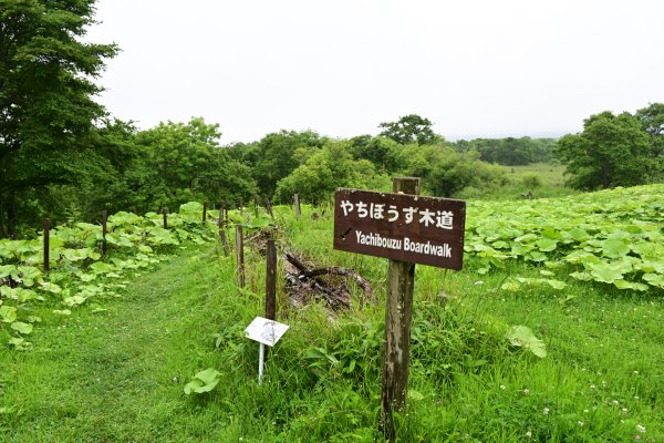 霧多布散策路(1)