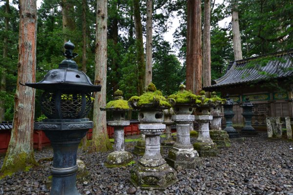 東照宮(4)：石灯篭