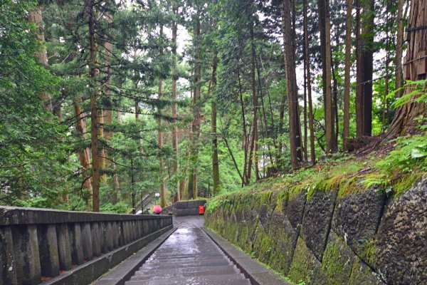 東照宮(12)：奥社から戻りの道