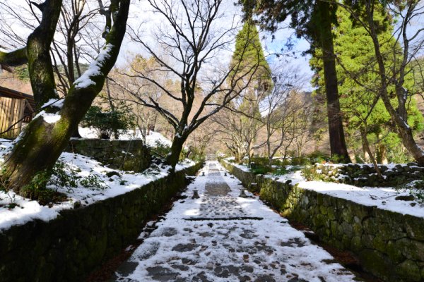 両子寺(4)