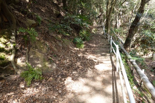 奥之院への山道(2)