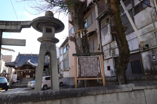 八坂神社：かんざし燈籠