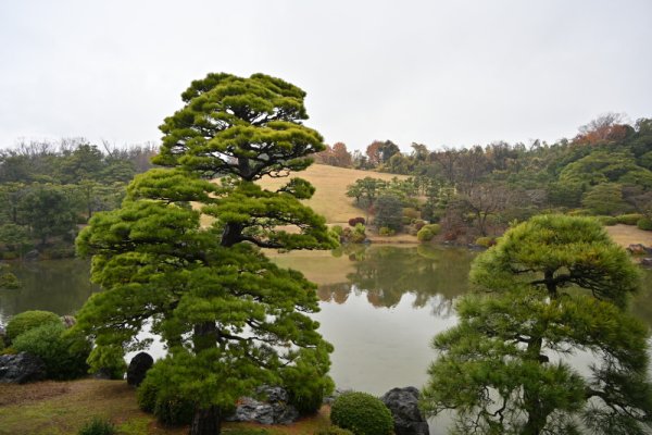 万博記念公園：日本庭園(1)：心字池