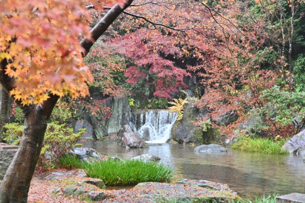 万博記念公園：日本庭園(5)：木漏れ日の滝