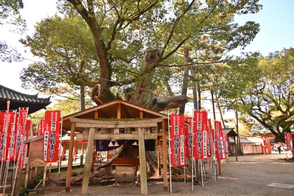 住吉大社(11)：楠高社