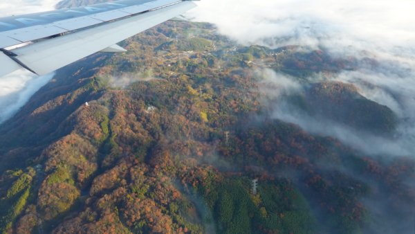 JAL103便の機内(1)：高安山の紅葉