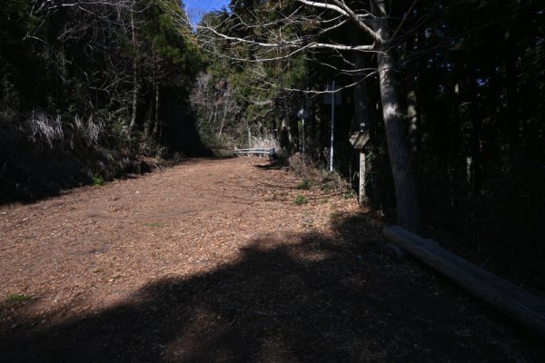大山寺への林道