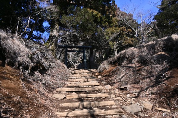 阿夫利神社の銅鳥居
