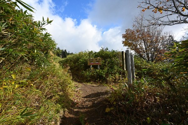 ポン山トレッキング(6)