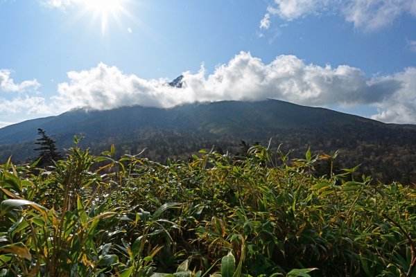 ポン山トレッキング(7)