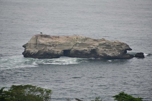 嵯峨見台(2)