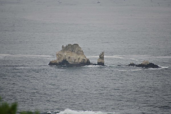 嵯峨見台(3)