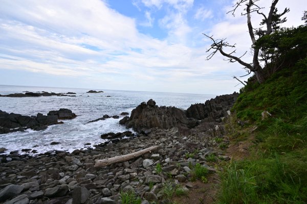 神割崎キャンプ場の海岸(1)