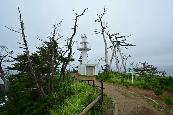 龍舞崎(2)