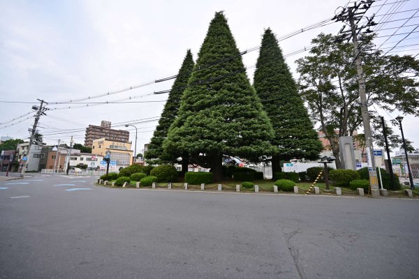 市役所近くのロータリー