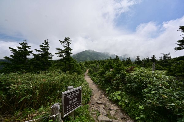 八甲田山(2)