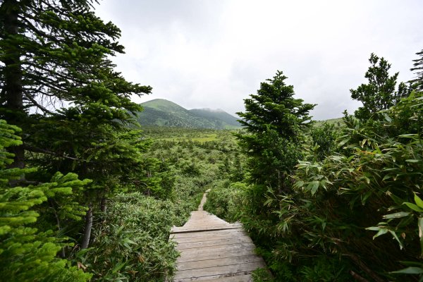 八甲田山(7)