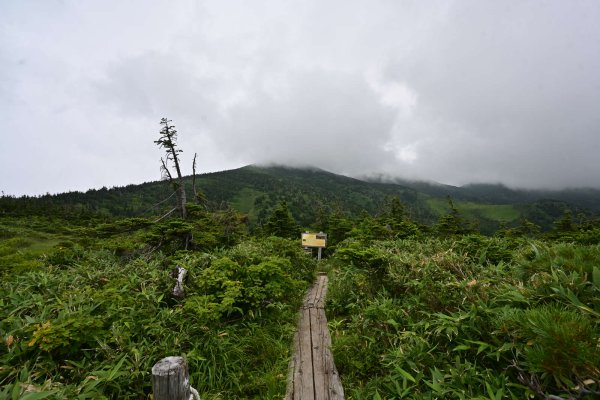 八甲田山(8)