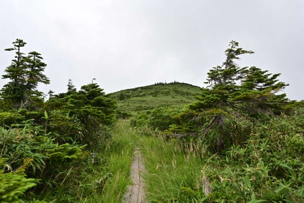 八甲田山(9)