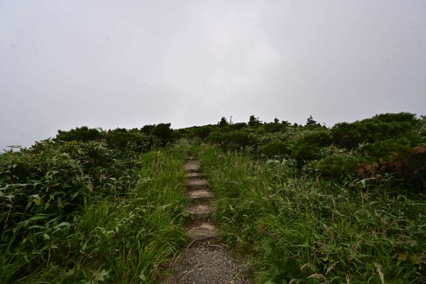 八甲田山(10)