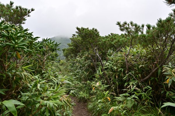 八甲田山(11)