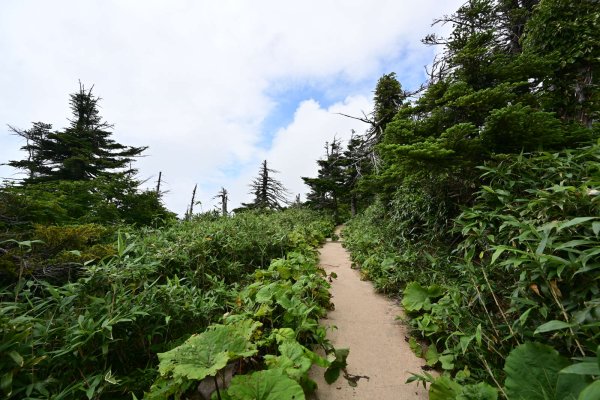 八甲田山(12)