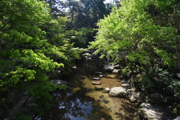 紅葉谷公園