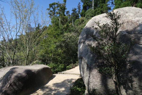 弥山登山：岩の間の道