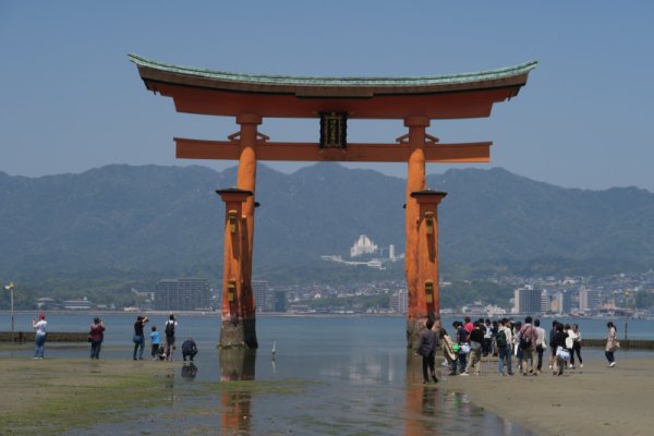 厳島神社：大鳥居