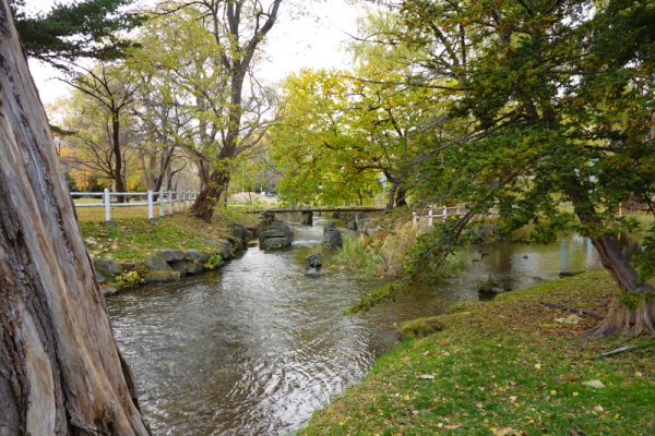 中島公園：創成川