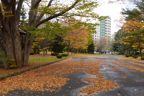 中島公園