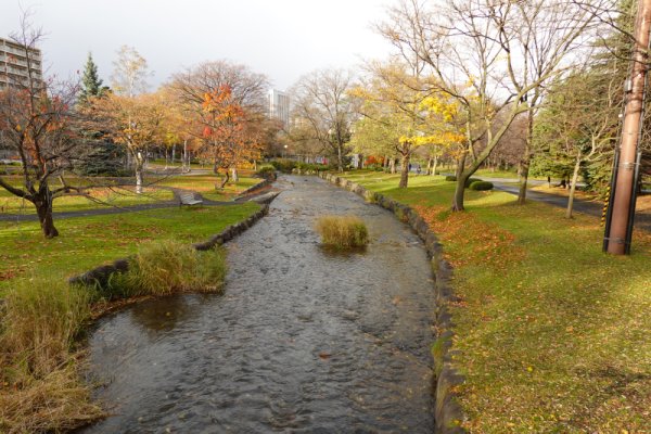 中島公園：創成川