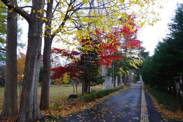 豊平公園