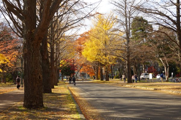 北海道大学(1)