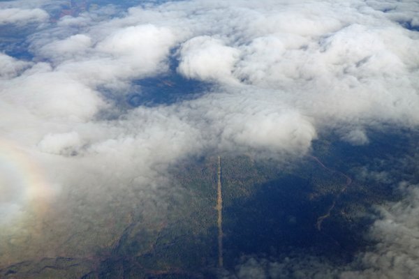 送電線のライン