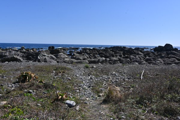 室戸岬(15)：最も新しい大地