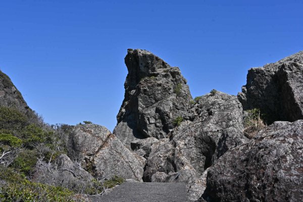 室戸岬(16)：烏帽子岩