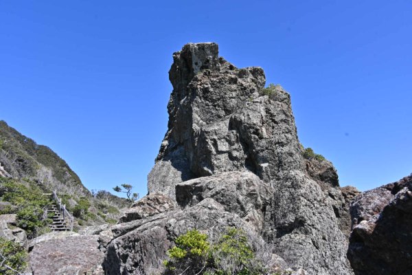 室戸岬(17)：ビジャゴ岩