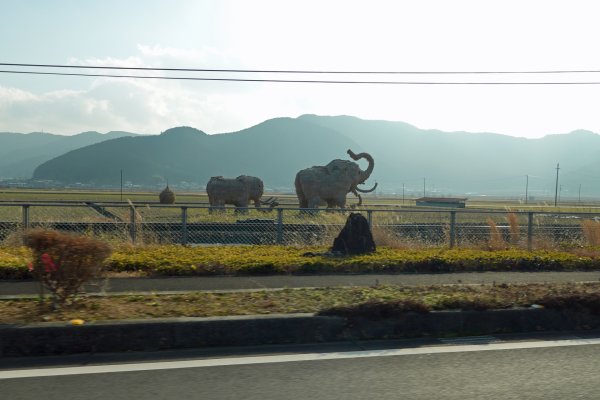 田圃のマンモス