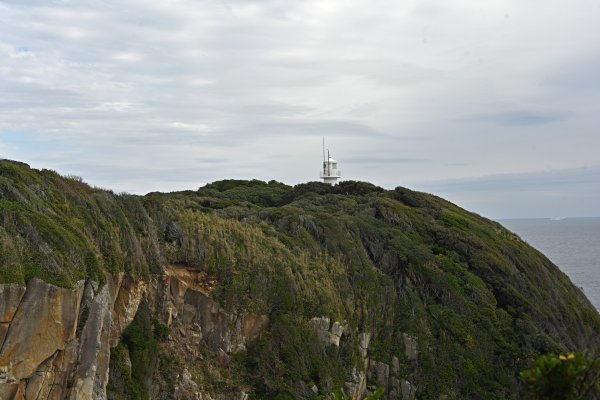 足摺岬(7)