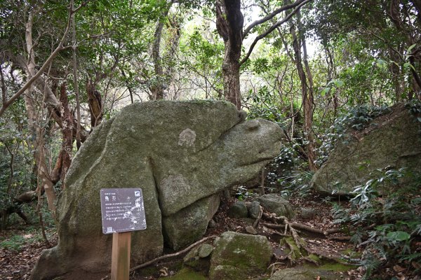 足摺岬(8)