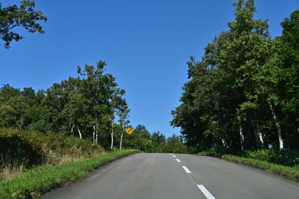 知床五湖フィールドハウスへの道