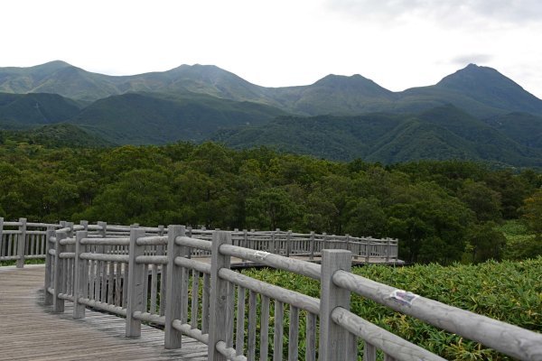 知床五湖の木道(2)