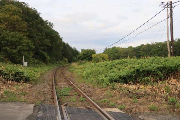 釧網本線を渡る